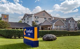 Comfort Inn Griswold